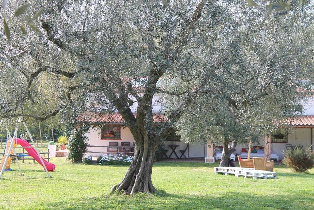 Borgo S.Maria Di Vulci Guest House Montalto di Castro Bagian luar foto