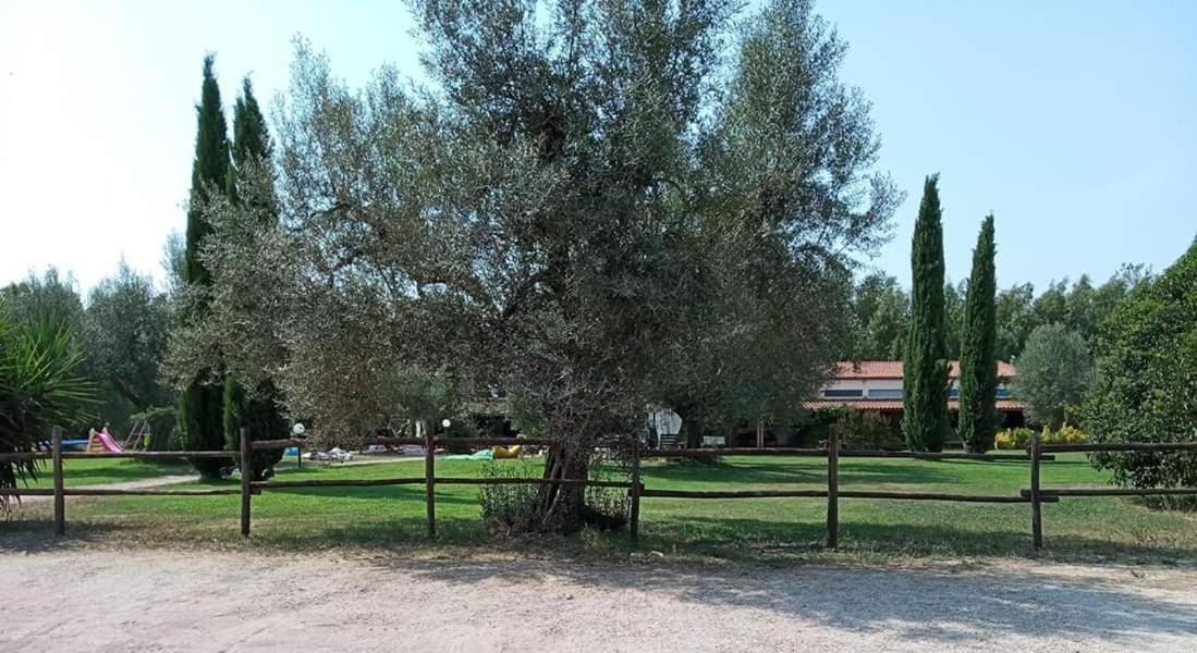 Borgo S.Maria Di Vulci Guest House Montalto di Castro Bagian luar foto